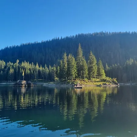 Edelweiss Ferienwohnung, Panoramablick Lejlighed Flims